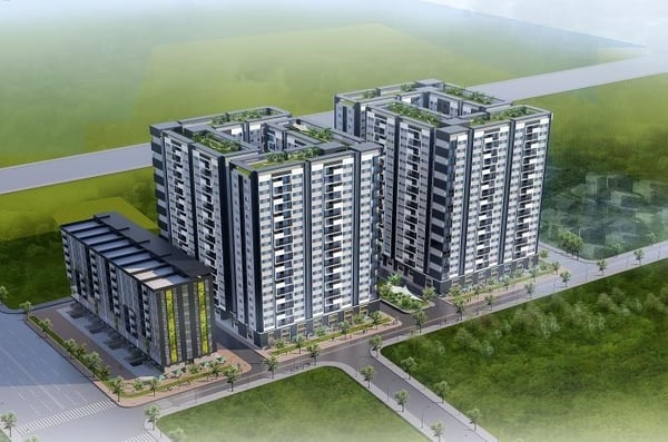 can-ho-chung-cu-cat-tuong-thong-nhat-dien-tich-bao-nhieu-m2-onehousing-2