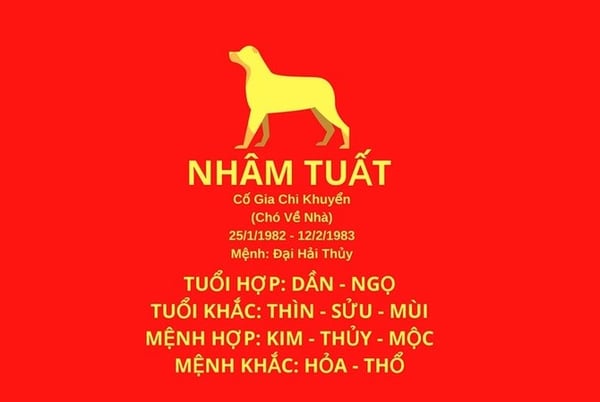 Luận giải tử vi tuổi Nhâm Tuất 1982 Nữ mạng 2024