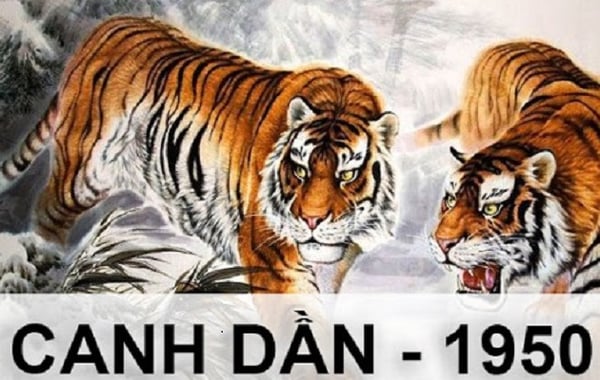 Xem tử vi tuổi Canh Dần 1950 - Nữ mạng năm 2024 CHI TIẾT NHẤT