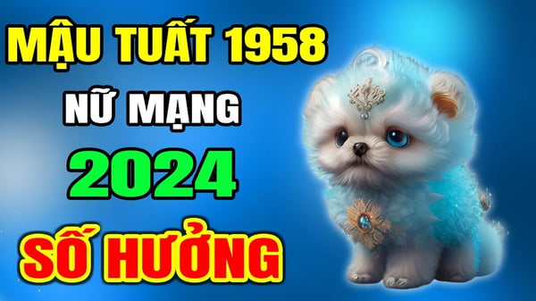 xem-tu-vi-tuoi-mau-tuat-1958-nu-mang-nam-2024-chi-tiet-nhat-n17t-onehousing-1