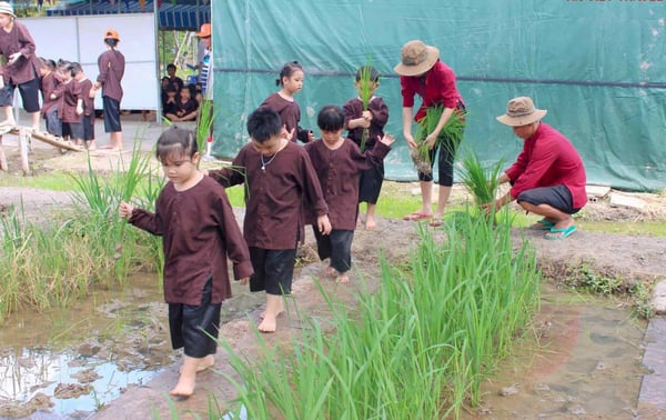 top-5-khu-da-ngoai-nong-trai-cho-be-tai-tp-hcm-onehousing-4