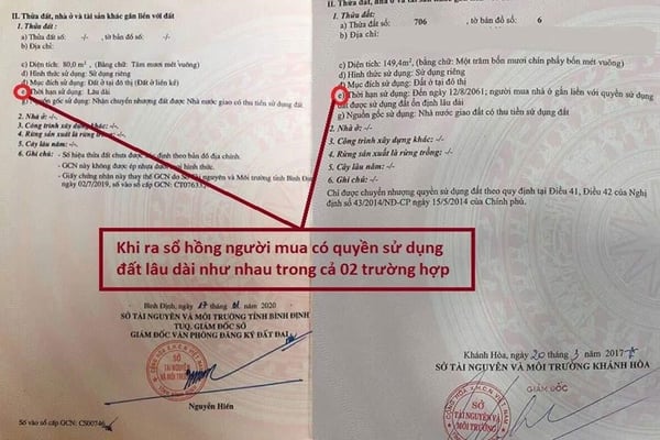 so-hong-lau-dai-la-gi-phan-biet-so-hong-50-nam-va-so-hong-dai-han-onehousing-2