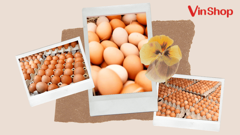 Feature Image Blog