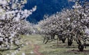 Feature Image Blog