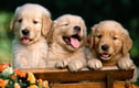Feature Image Blog