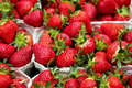 Feature Image Blog