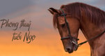 Feature Image Blog
