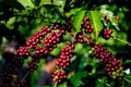 Feature Image Blog