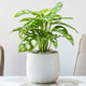 Feature Image Blog