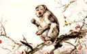 Feature Image Blog