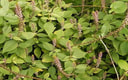 Feature Image Blog