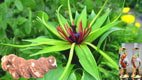 Feature Image Blog