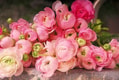 Feature Image Blog