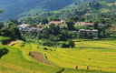 Feature Image Blog