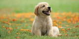 Feature Image Blog