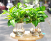 Feature Image Blog