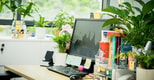 Feature Image Blog
