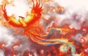 Feature Image Blog