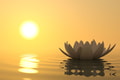 Feature Image Blog