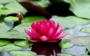 Feature Image Blog