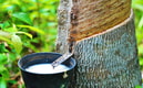 Feature Image Blog
