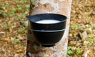 Feature Image Blog