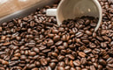 Feature Image Blog