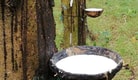 Feature Image Blog