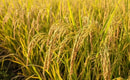 Feature Image Blog