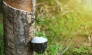 Feature Image Blog