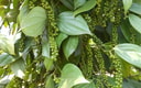 Feature Image Blog
