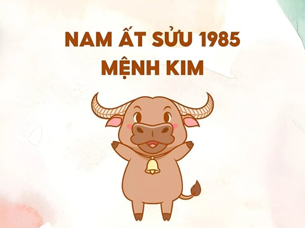 xem-tu-vi-tuoi-at-suu-1985-nam-mang-nam-2024-chi-tiet-nhat-onehousing-2