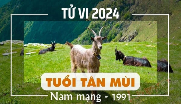 xem-tu-vi-tuoi-tan-mui-1991-nam-mang-nam-2024-chi-tiet-nhat-onehousing-2