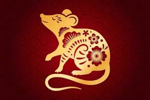 Feature Image Blog