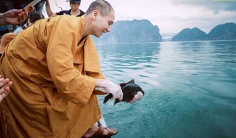 Feature Image Blog