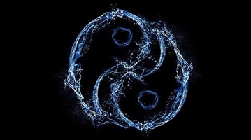 Feature Image Blog