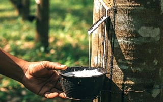 Feature Image Blog