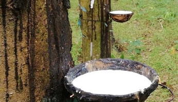 Feature Image Blog