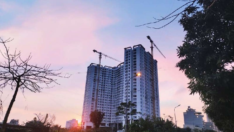 chung-cu-tecco-diamond-huyen-thanh-tri-dia-chi-cu-the-o-dau-n17t-onehousing-1