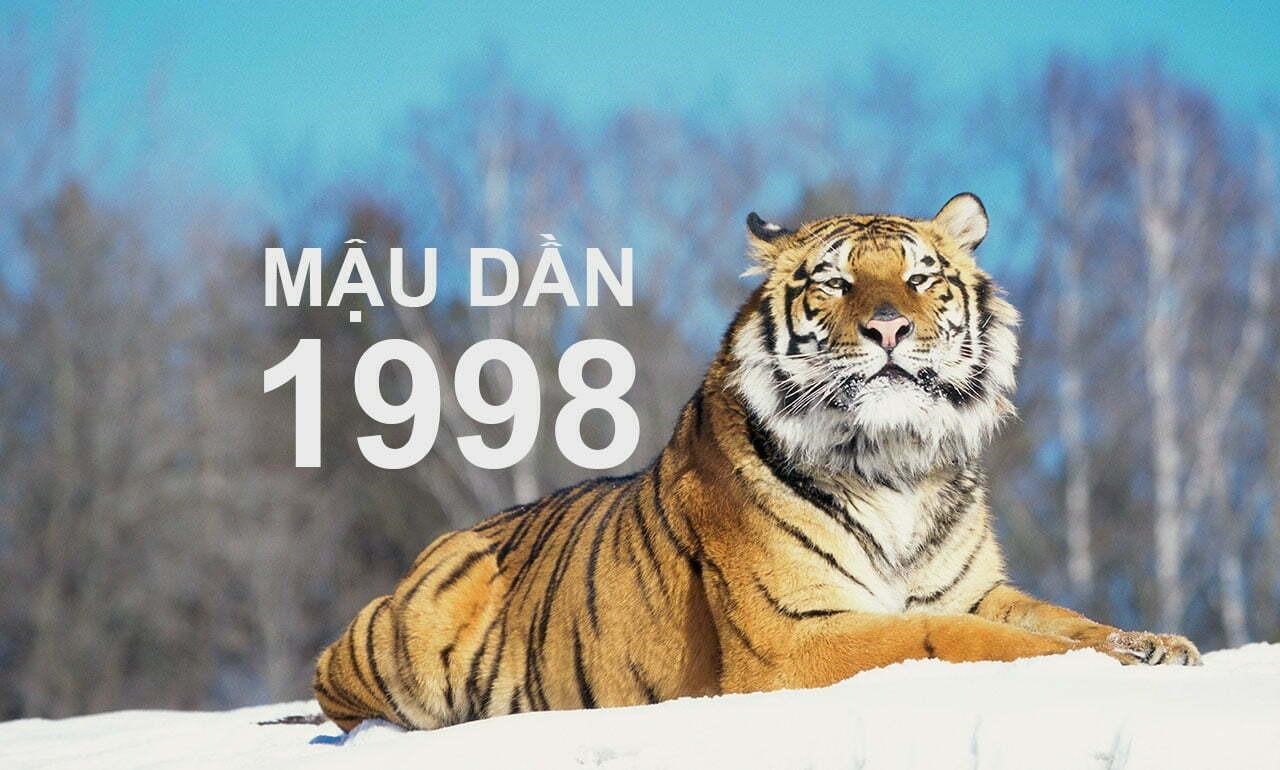 Nam 1995 Có Hợp Với Nữ 1998 Không? Tìm Hiểu Sự Hòa Hợp Theo Ngũ Hành và Phong Thủy