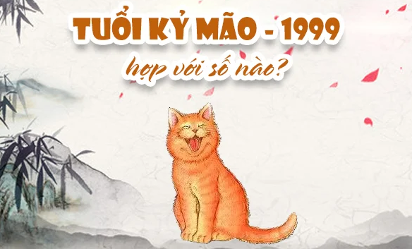 tuoi-ky-mao-1999-hop-voi-nhung-con-so-nao