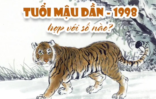 tuoi-mau-dan-1998-hop-voi-nhung-con-so-nao