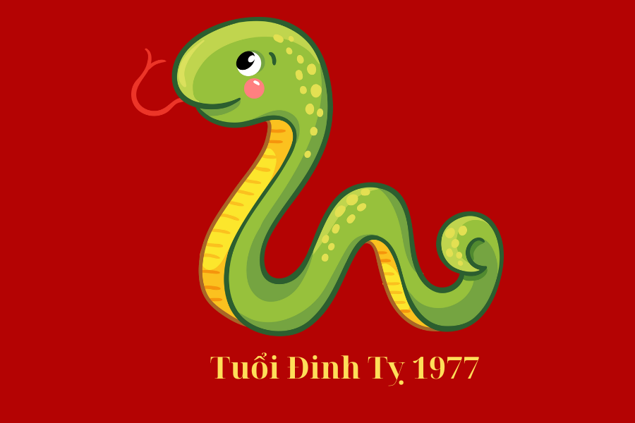 tuoi-dinh-ty-1977-nam-mang-nu-mang-hop-voi-mau-gi