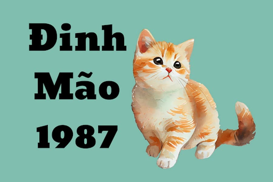 nguoi-tuoi-dinh-mao-1987-nen-dat-ban-lam-viec-huong-nao-de-cong-viec-suon-se