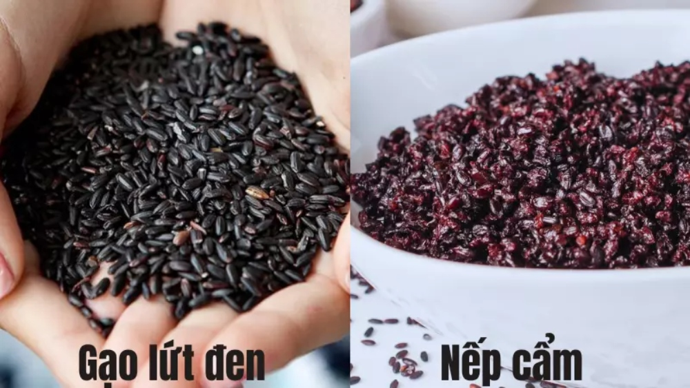 Tác dụng của gạo lứt đen với sức khỏe Tác dụng của gạo lứt đen với sức khỏe