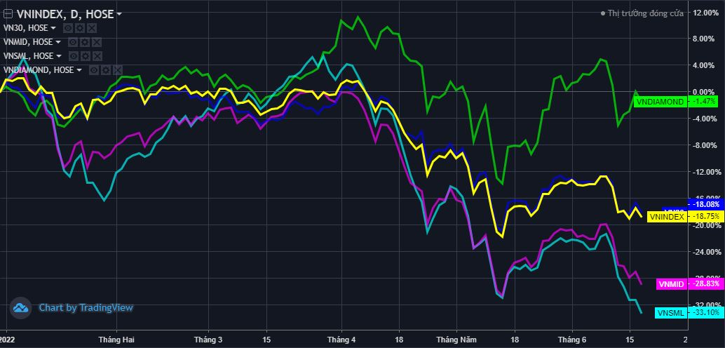 lam-the-nao-de-phan-biet-chi-so-vn-index-va-chi-so-vnsmallcap