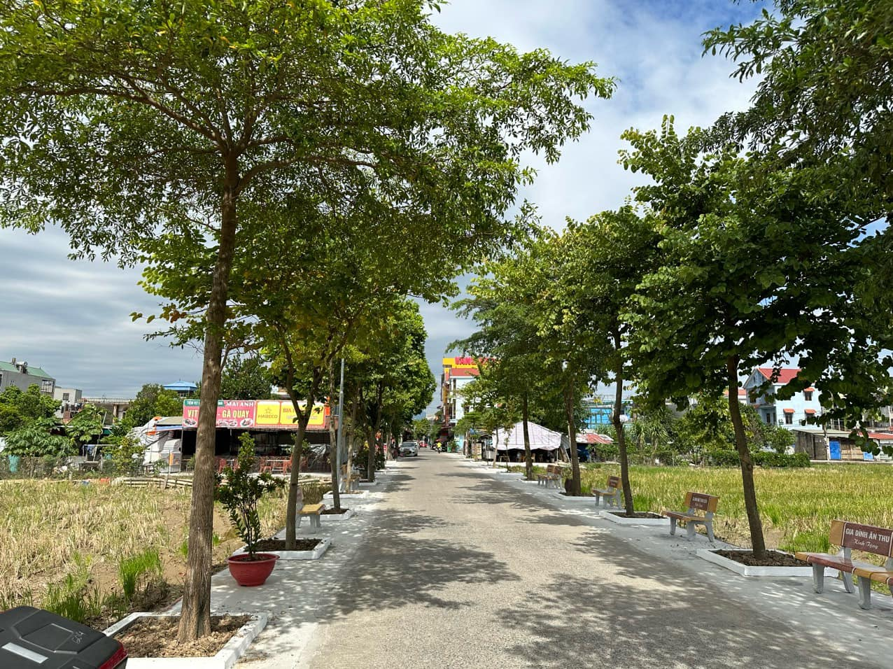 Cảnh