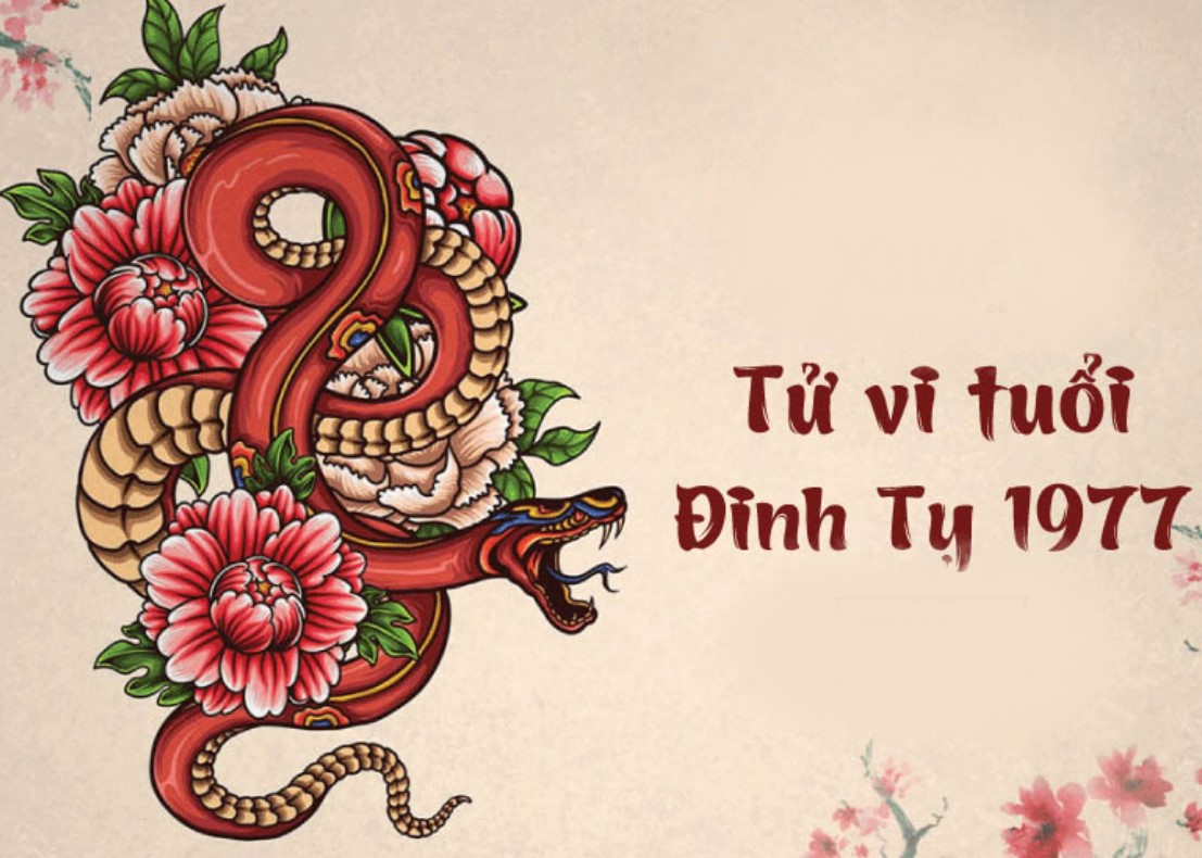 TUỔI ĐINH TỴ 1977 NÊN XÂY NHÀ VÀO NĂM NÀO HỢP PHONG THỦY