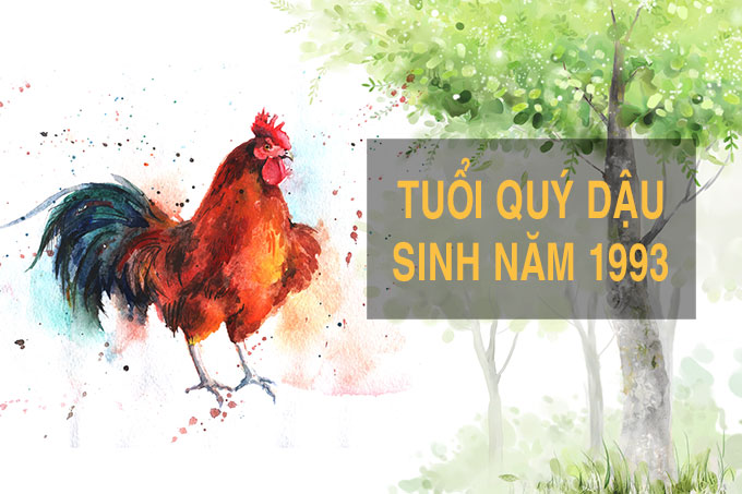 tuoi-quy-dau-1993-nen-xuat-hanh-vao-ngay-gio-nao-trong-nam-2025-de-thuan-buom-xuoi-gio-gap-nhieu-dieu-tot-dep