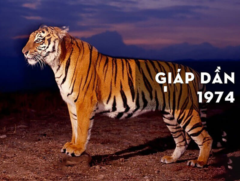 NỮ MẠNG GIÁP DẦN 1974 GẶP VẬN MAY TRONG NĂM 2026 TÀI LỘC HANH THÔNG